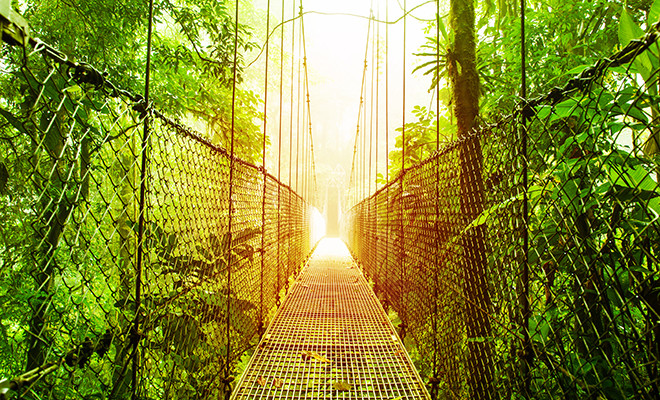 Imagen de Arenal Hanging Bridges Reserva ecológica, parque natural de la selva tropical, ciudad de La Fortuna de San Carlos, Costa Rica, Centroamérica, pasarela en la selva, concepto de viajes y turismo